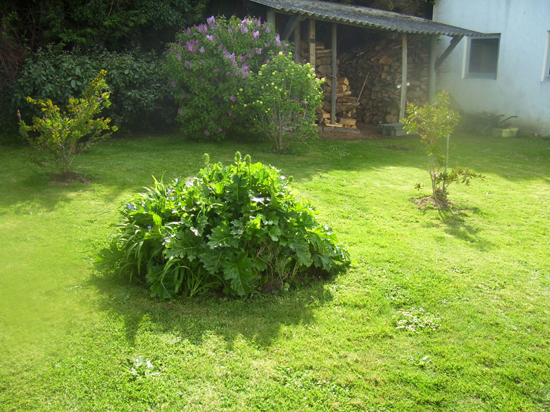 jardin taraud lydie yeu caillou-blanc.fr